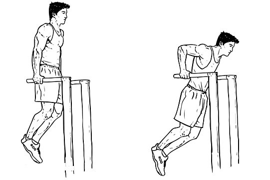 Dips Dips
